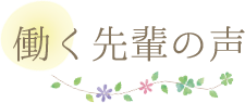働く先輩の声
